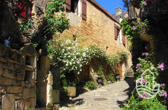  Vente - Maison Ancienne - st-cyprien  