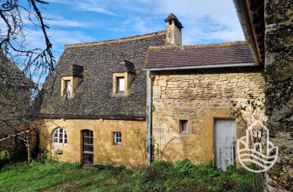  Vente - Maison Ancienne - les-eyzies  